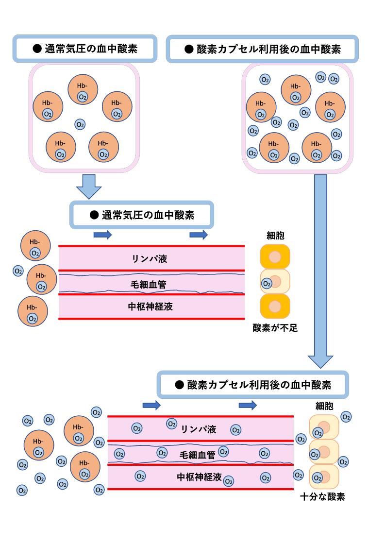 酸素_2